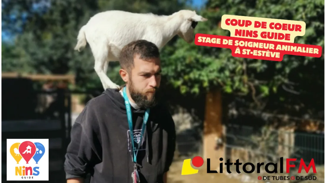 Coup de coeur Nins Guide : devenez soigneur animalier le temps d'un...