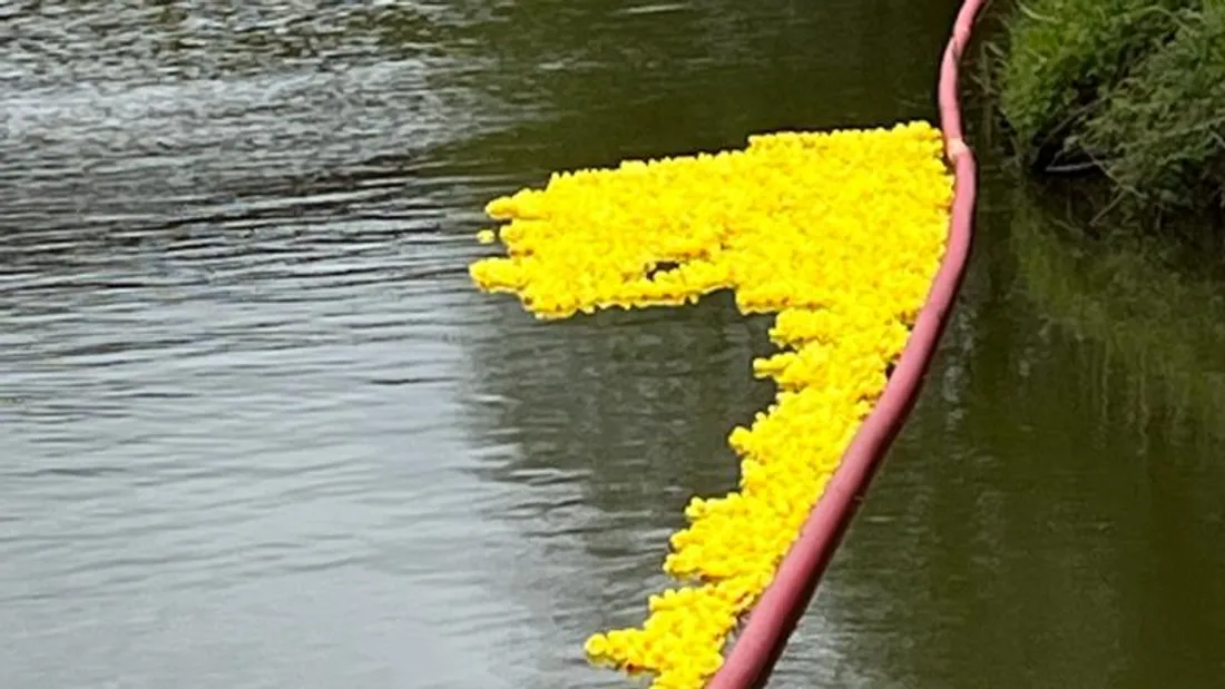 JOURNAL DU JEUDI 09 AVRIL ( SOIR )