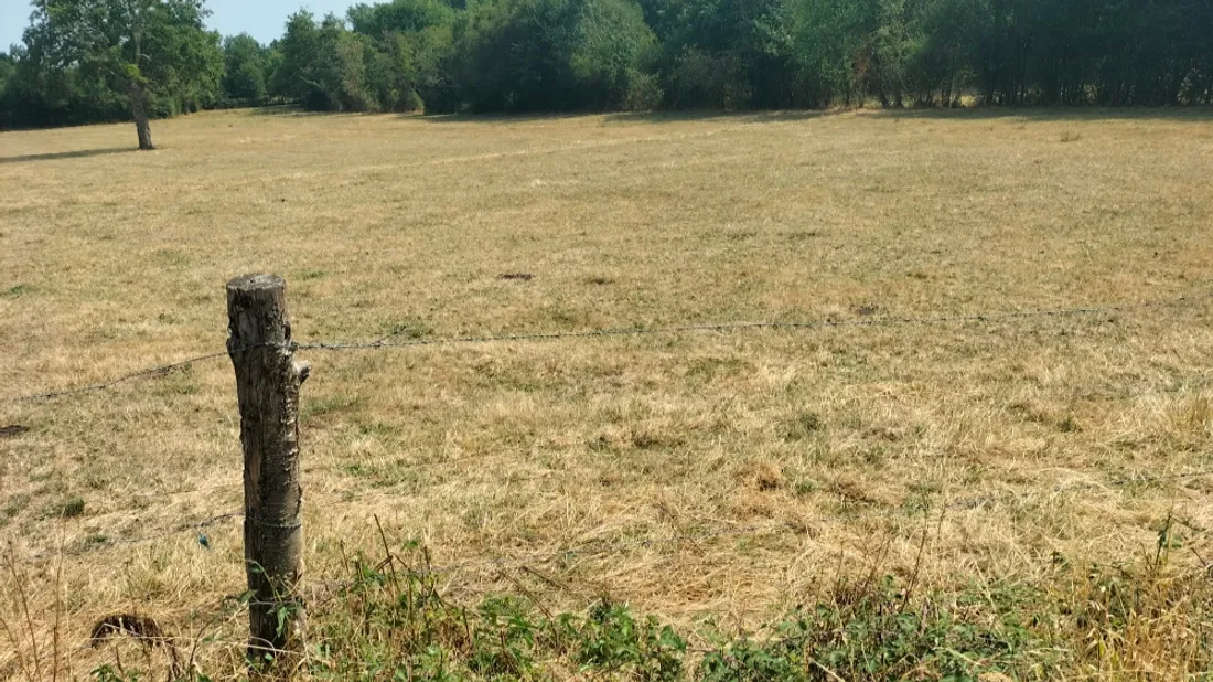 Journal du samedi 5 septembre 