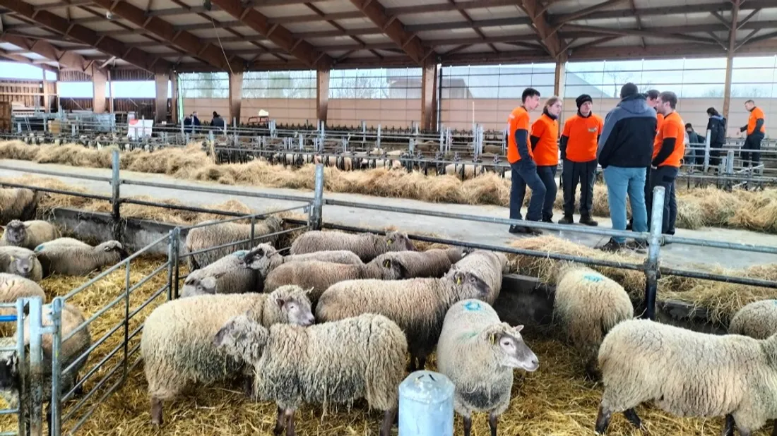 Journal du mercredi 4 février (soir)