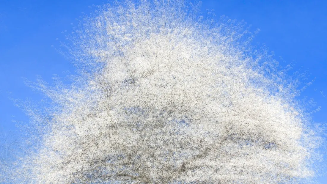 JOURNAL DU MARDI 07 AVRIL ( SOIR )