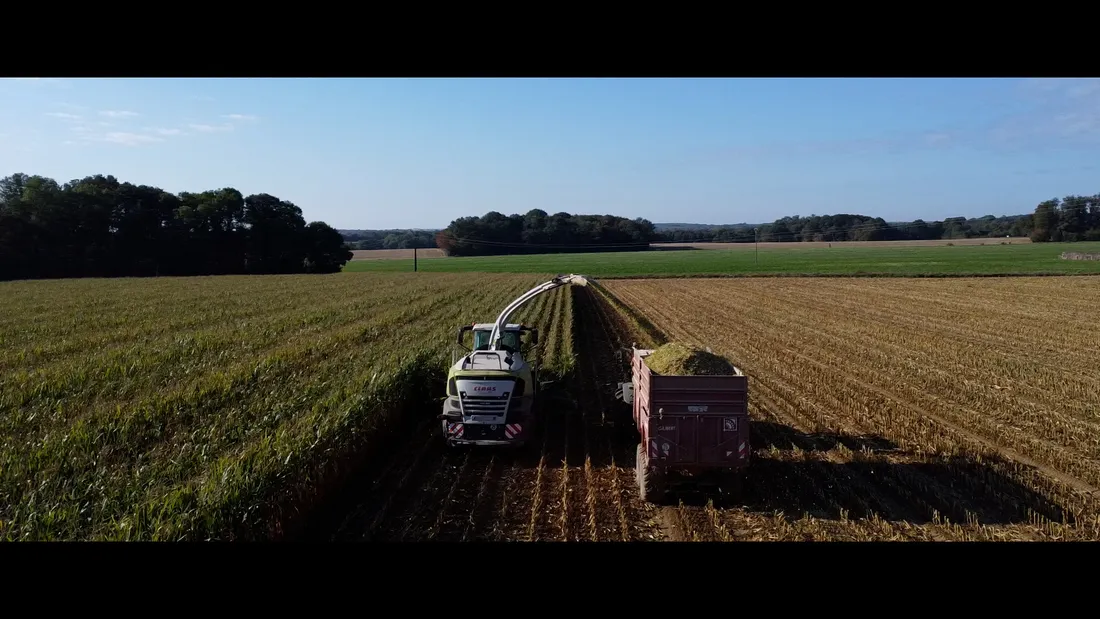 Journal du vendredi 16 janvier (midi)