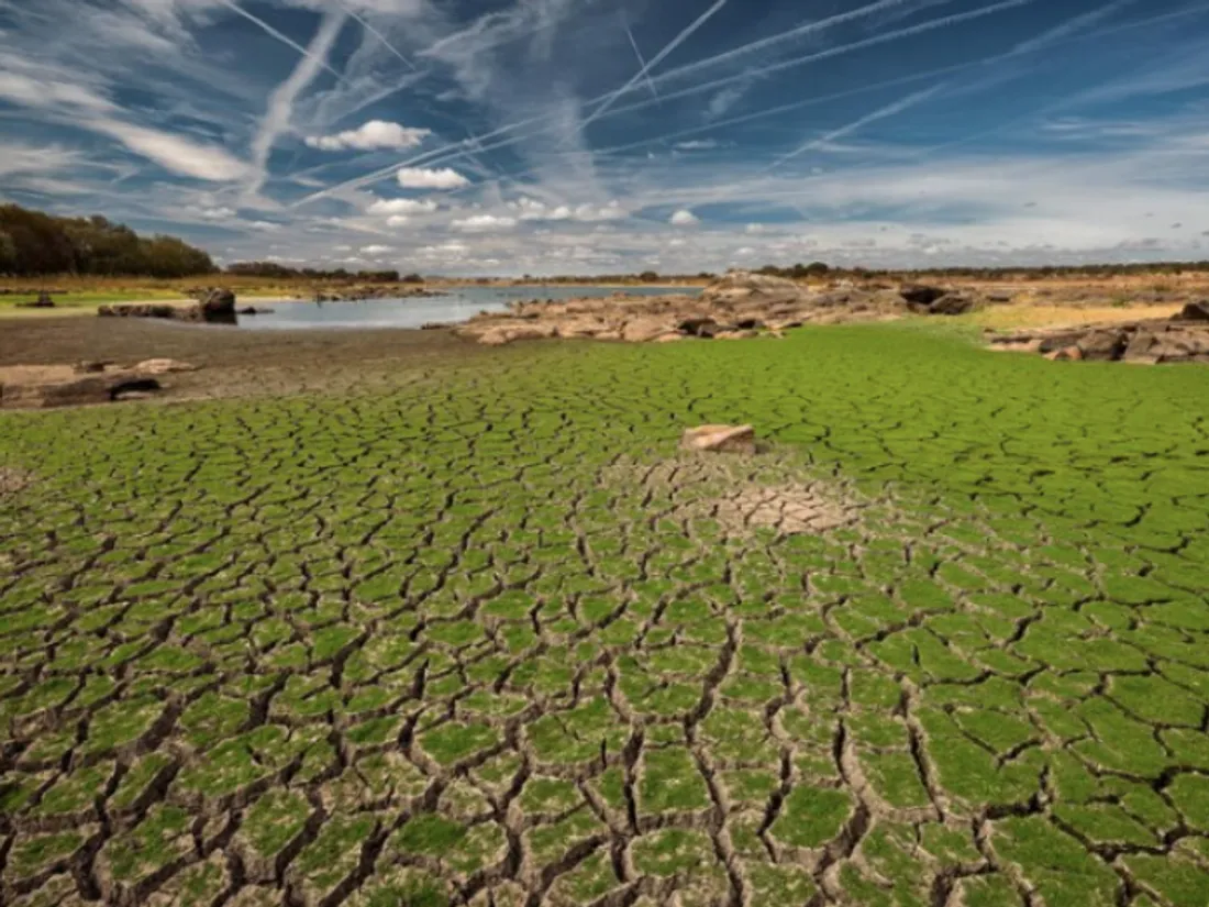 Maghreb : du cycle de la sécheresse aux pluies extrêmes, un nouveau...