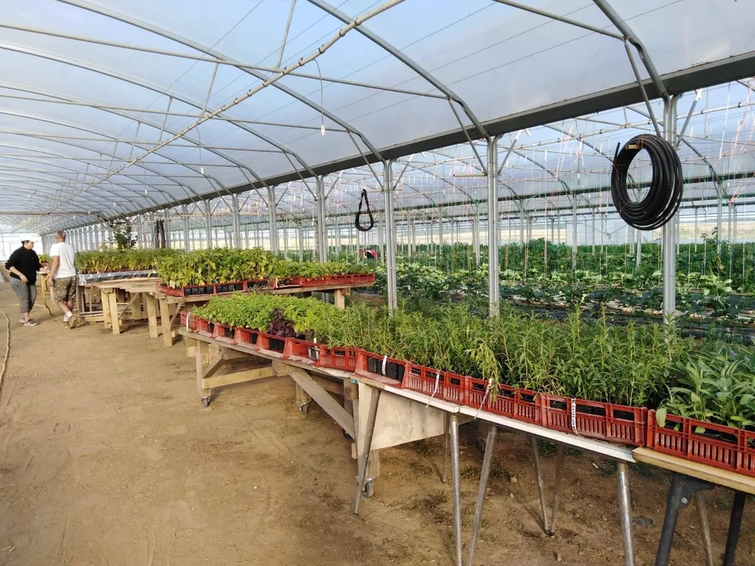 Découvrez l’agriculture locale avec “La ferme ? C’est le moment de...