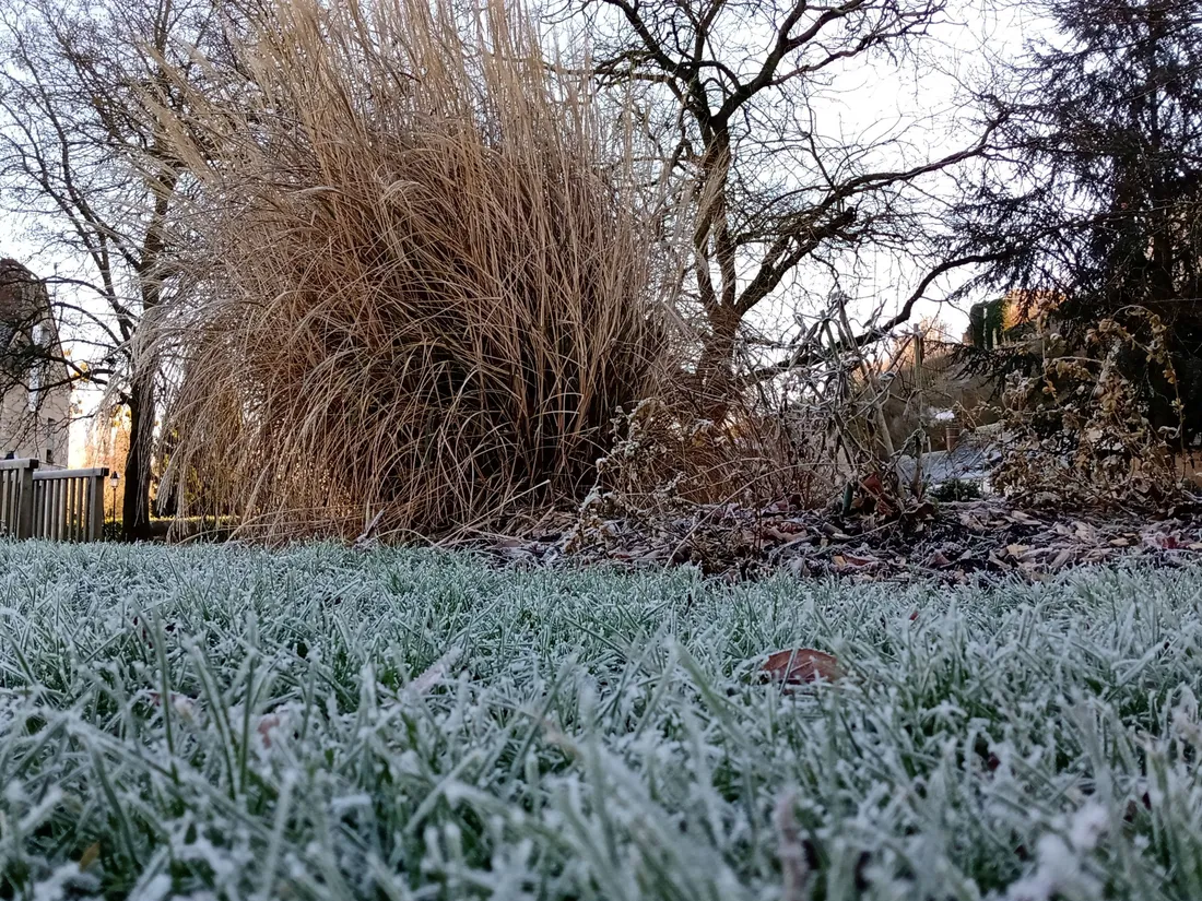Premières gelées automnales