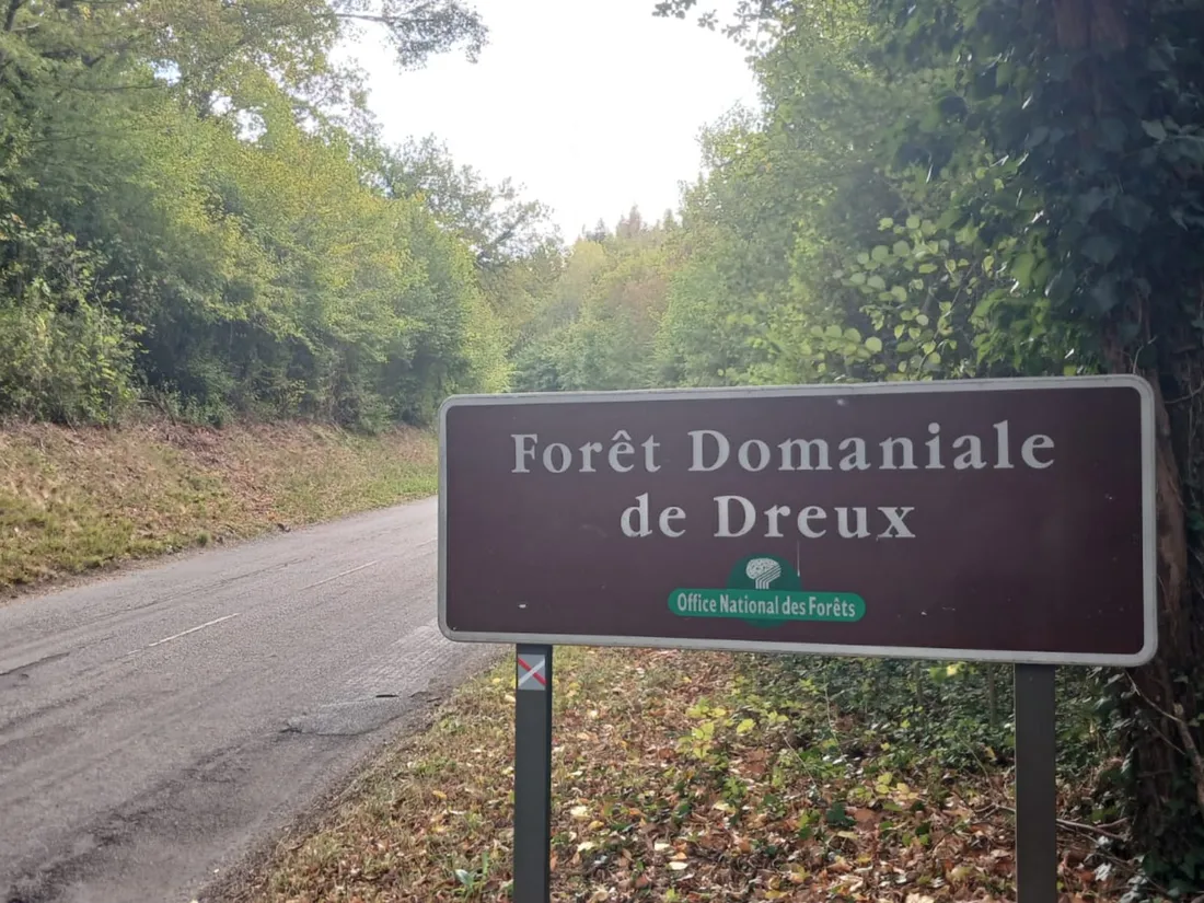 🔊 Quelle stratégie pour la lutte contre les feux de forêt en...