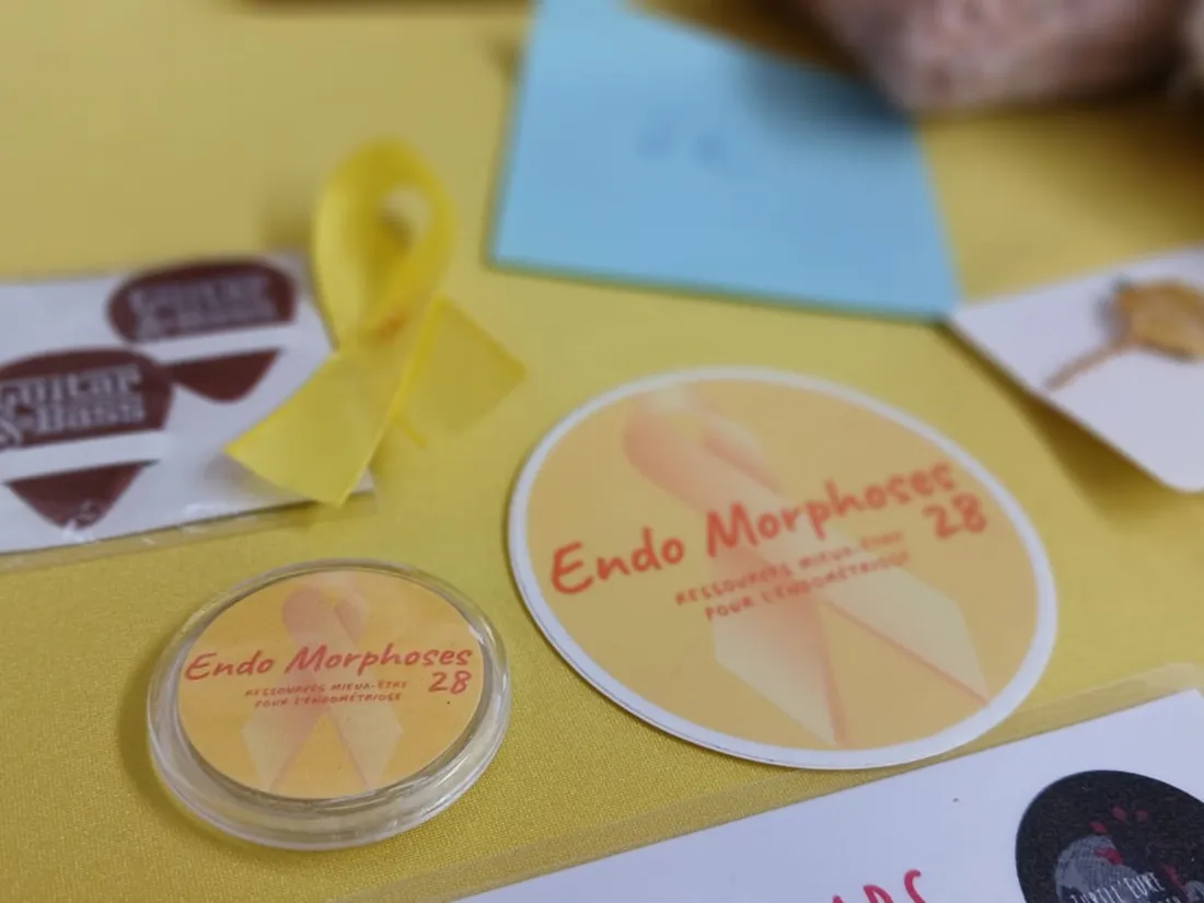 Endo Morphoses28 : l'asso' qui brise le silence autour de...