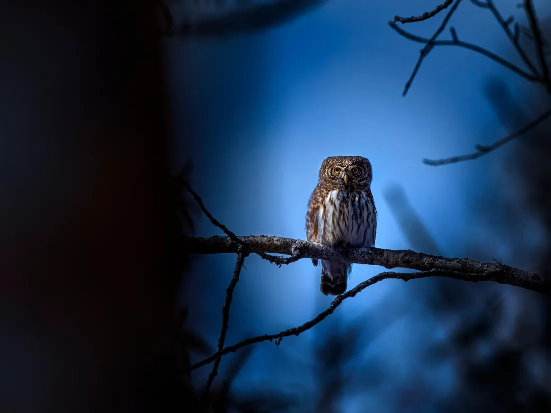 🔊 Vos idées de sorties pour les vacances de printemps
