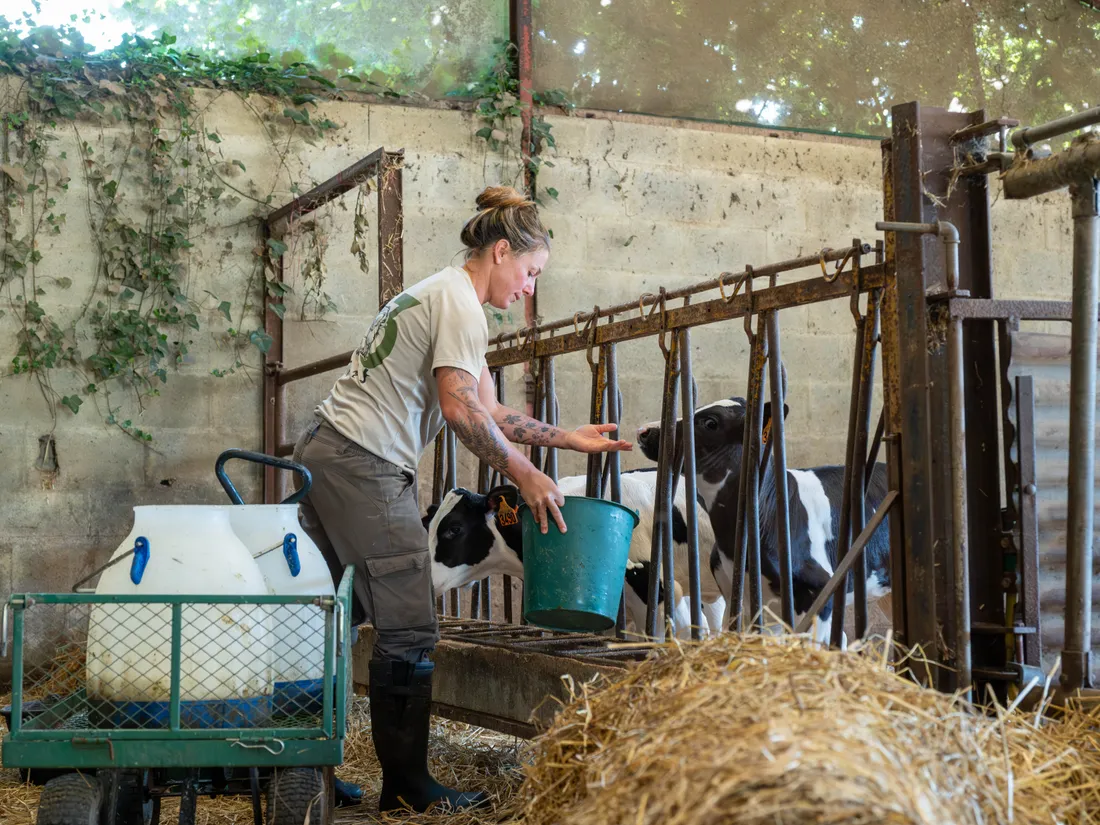 Agriculture dans le Perche : des stages pour tester le métier