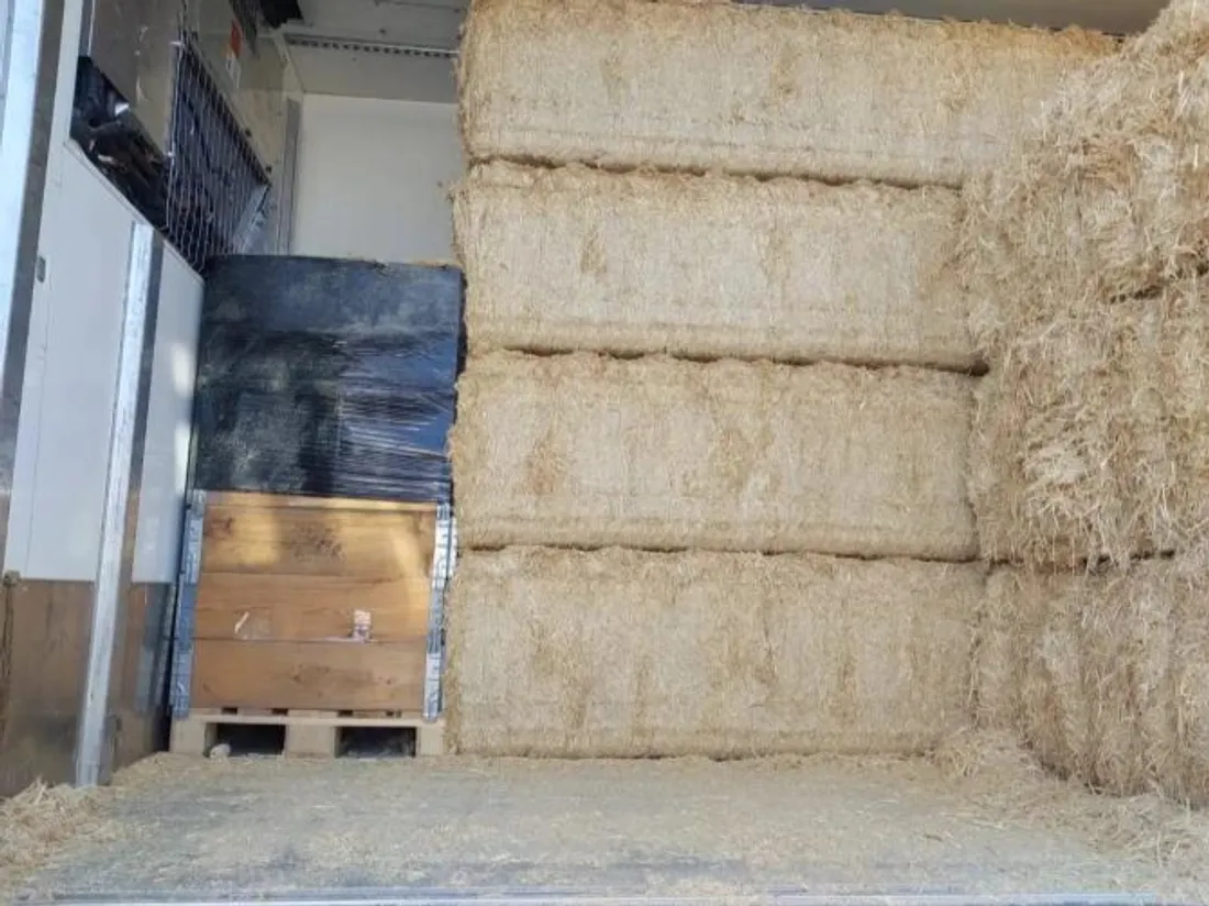 Saisie record sur l'A10 : plus de 240 kg de cocaïne interceptés par...