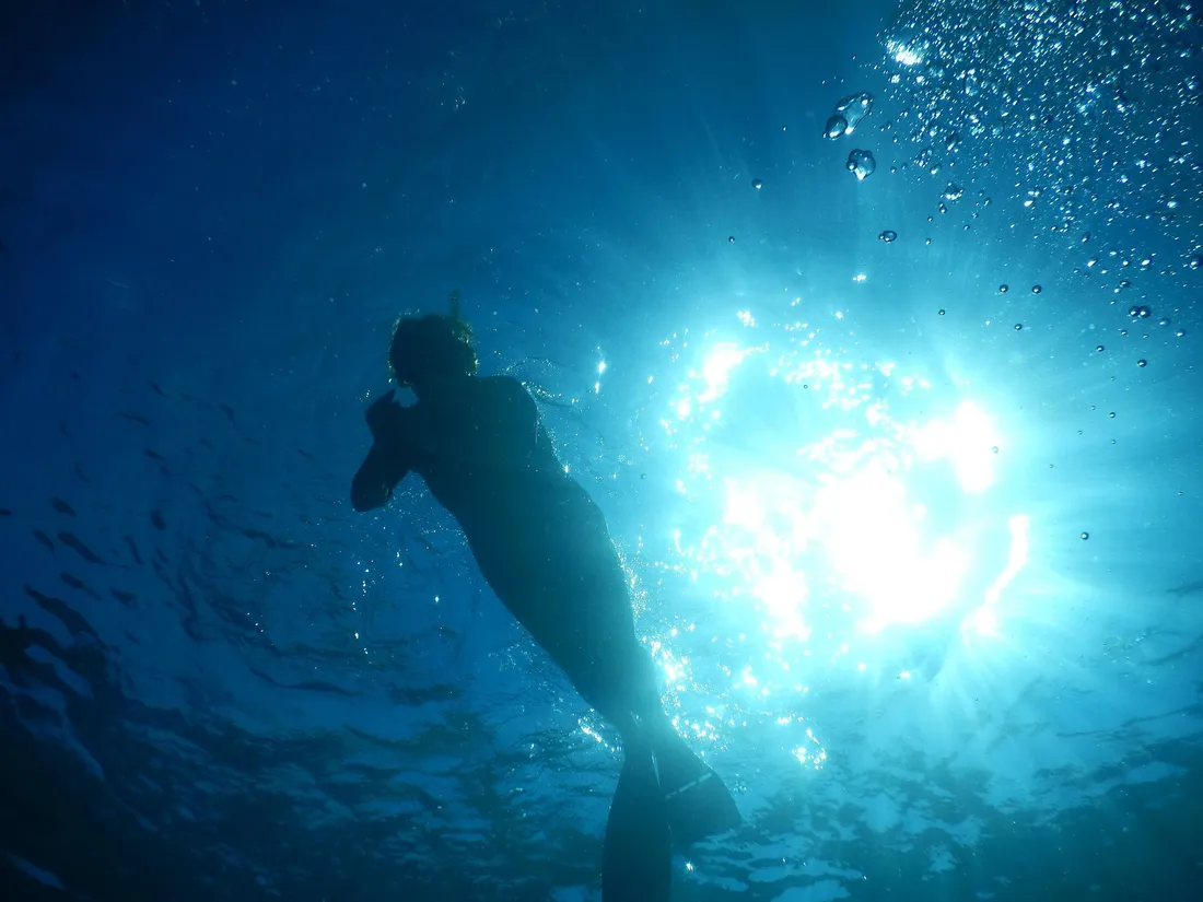 Trois chartrains aux "France" d'apnée