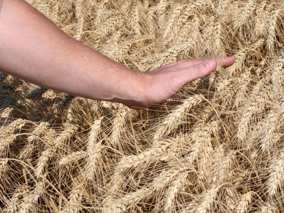 Un camion ambulant pour faciliter l’accès au monde agricole 