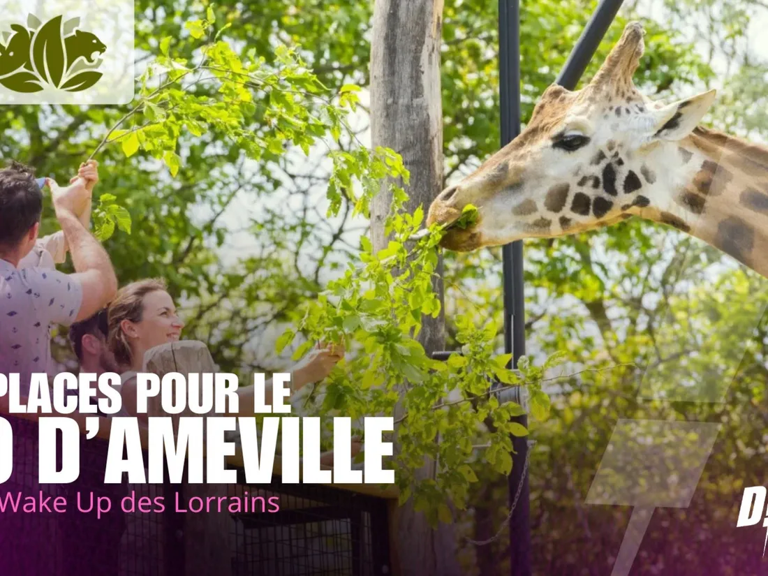 À GAGNER CETTE SEMAINE DANS LE WAKE UP DE L'ÉTÉ : VOS PLACES LE ZOO...