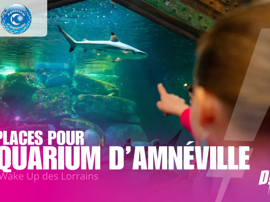 SORTIE : GAGNEZ VOS ENTRÉES POUR L'AQUARIUM D'AMNÉVILLE