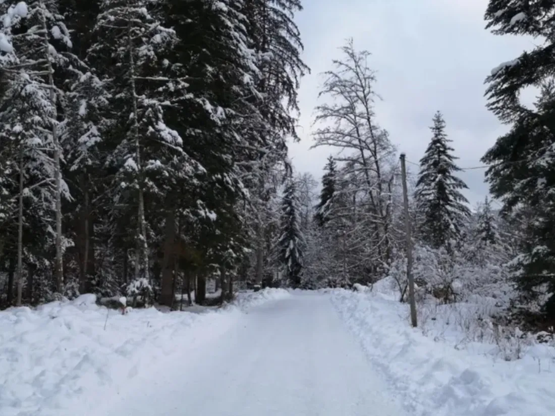 Vosges : les premiers skieurs sont déjà là !