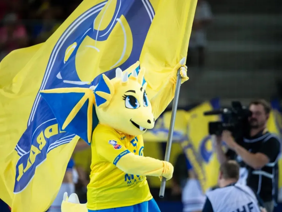 Sport : Vos places pour Metz Handball - Dijon 