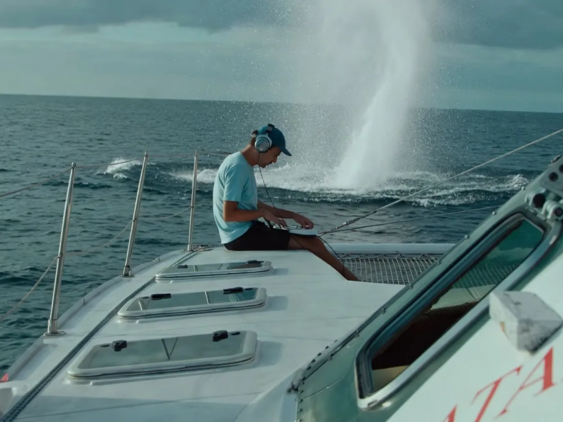 Rone, l’artiste qui parle aux baleines