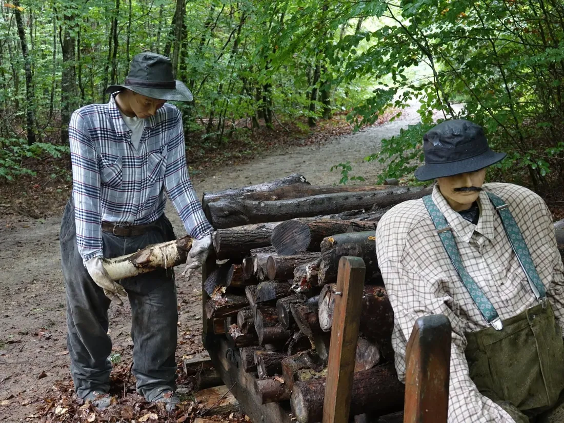 Les Journées de la Forêt s'ouvrent aujourd'hui à Thaon-les-Vosges