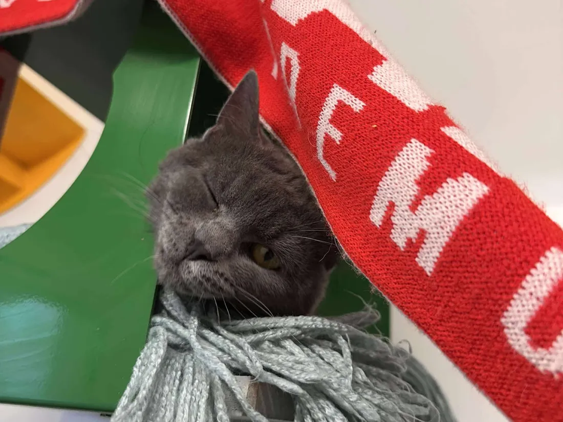 Une collecte solidaire pour la SLPA de Velaine !