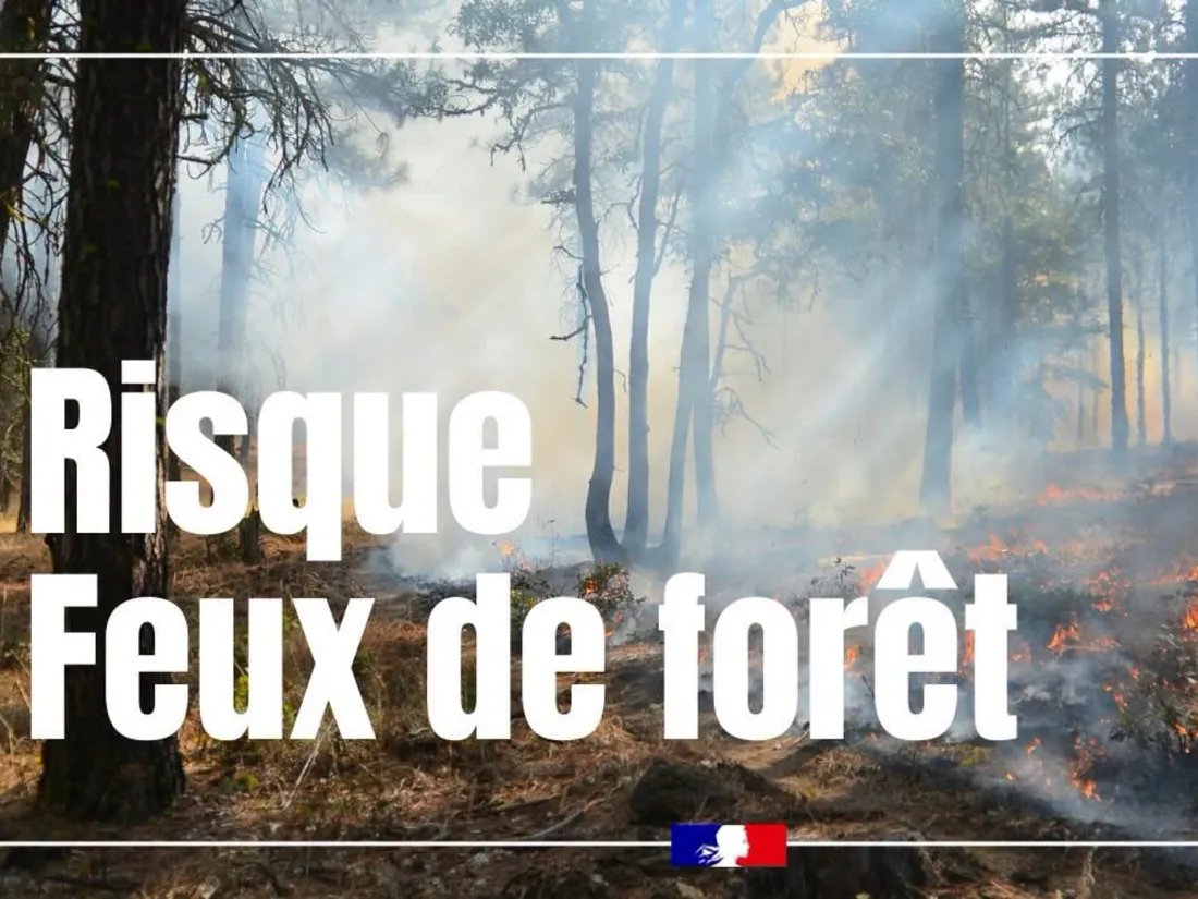 Risque incendie : le préfet de Meurthe-et-Moselle active le niveau...
