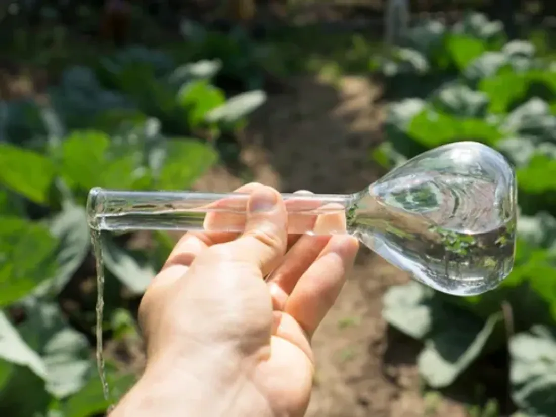PFAS dans les Vosges : des épandages industriels cartographiés