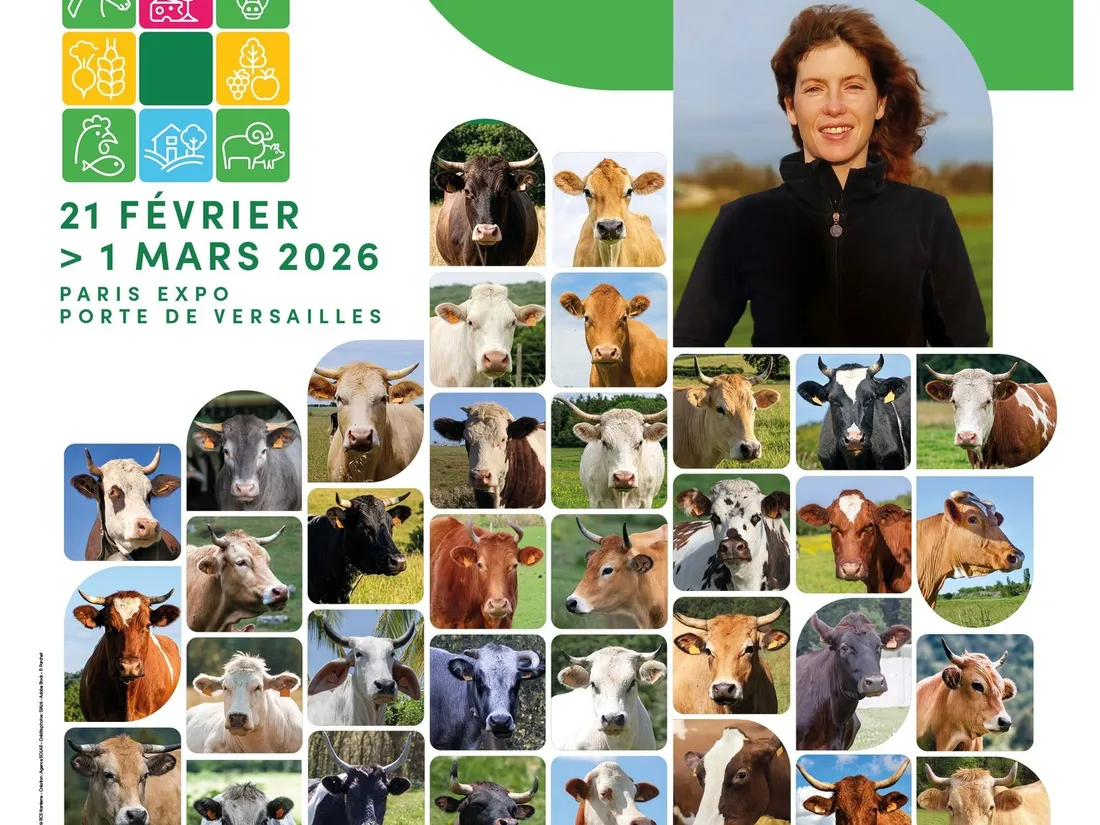 Salon de l’Agriculture 2026 : les Vosges déjà récompensées par...