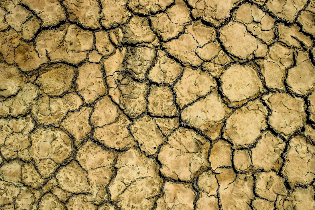 La sécheresse frappe le Grand Est : plusieurs départements passent...