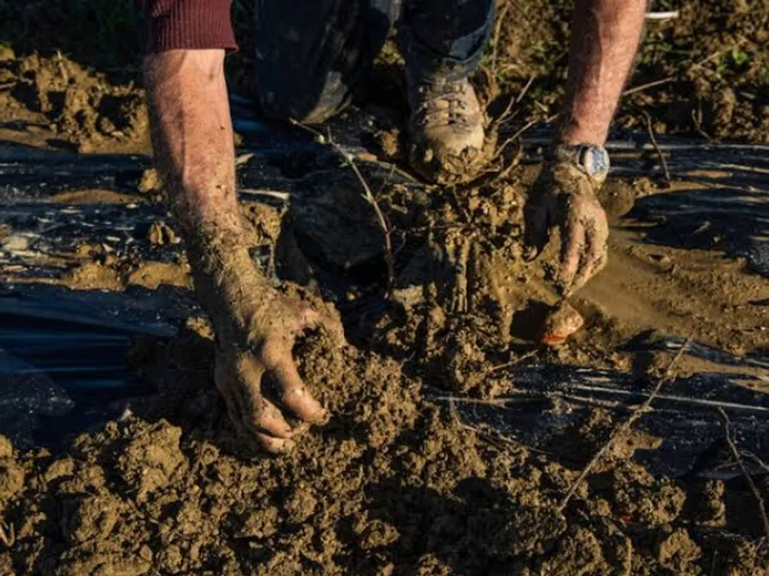 PFAS à Tendon : les sols contaminés jusqu'à 5 000 fois la norme, le...