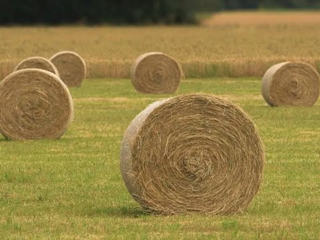 Incendie à Haréville : la FDSEA et les Jeunes Agriculteurs des...