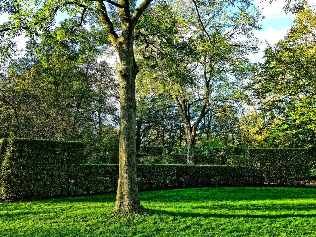 Haute-Marne : le début de l’interdiction de taille des haies est...