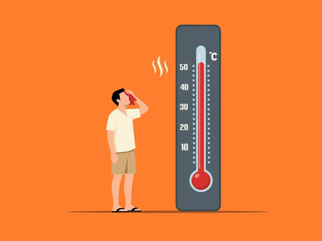 Canicule, sécheresse et risque d'incendie : le préfet des Vosges...
