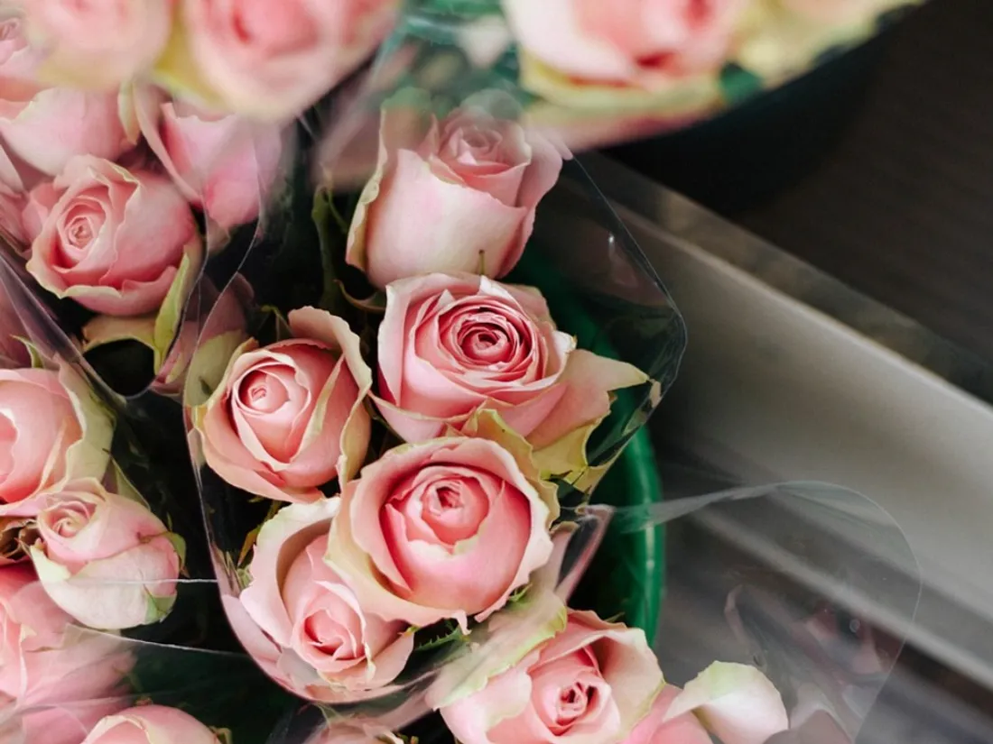 7 000 roses offertes à Nancy pour la Fête des Mères