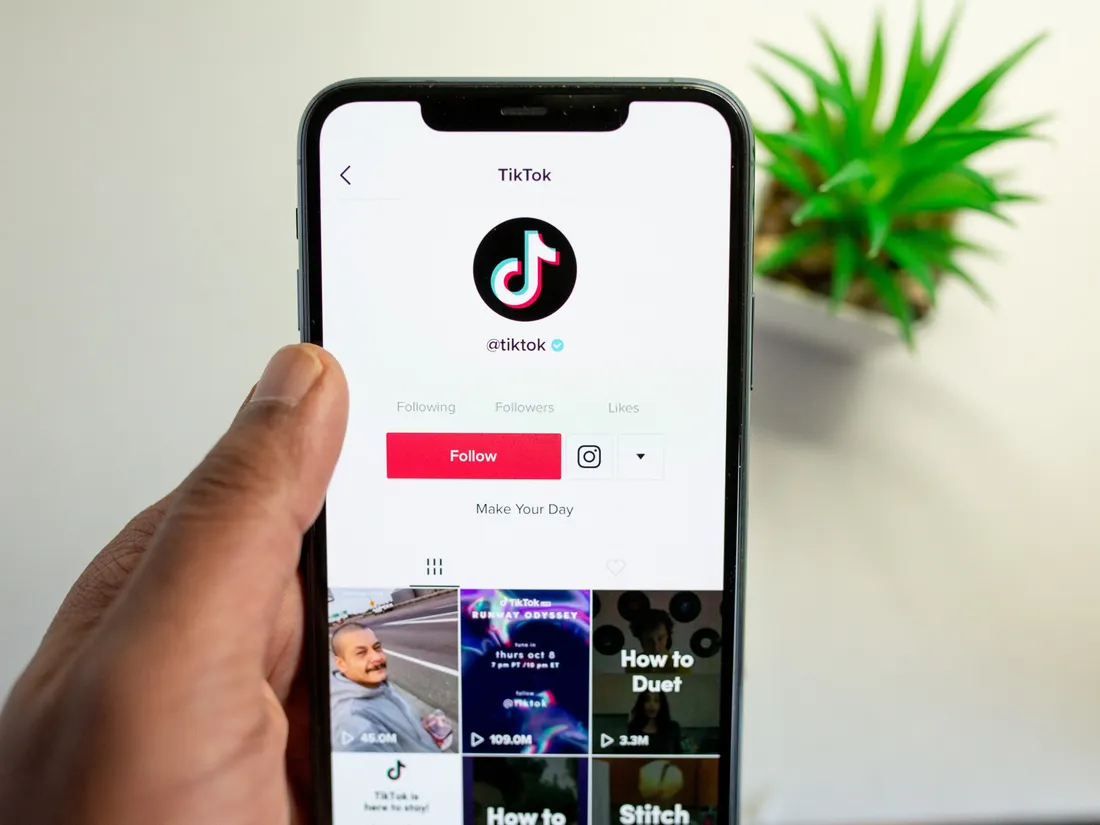 Voyance sur TikTok : un collectif dénonce une « jungle » où les...