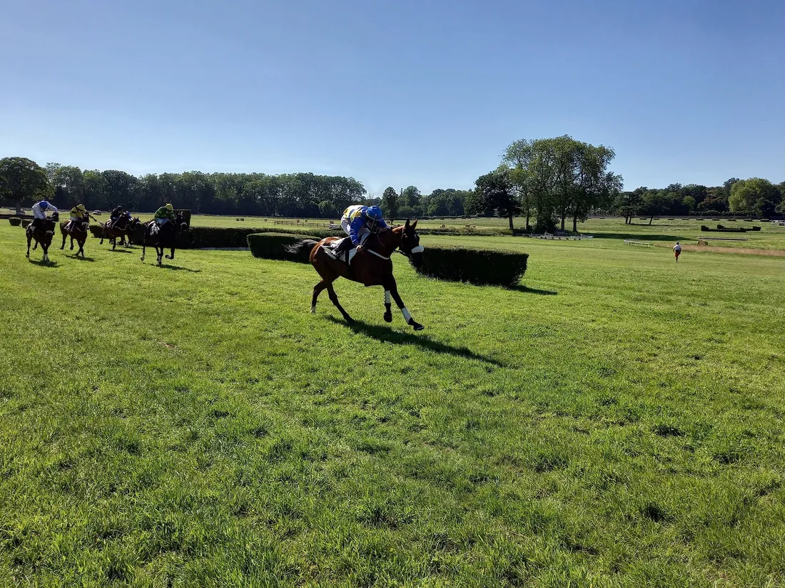 Les pronostics hippiques pour ce dimanche 28 juin
