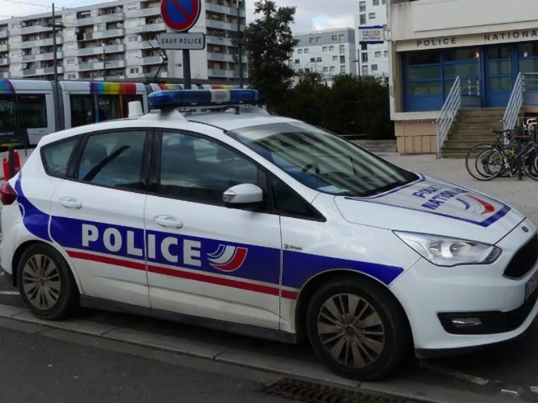 Angers. La police sauve un chien laissé seul dans une voiture sous...
