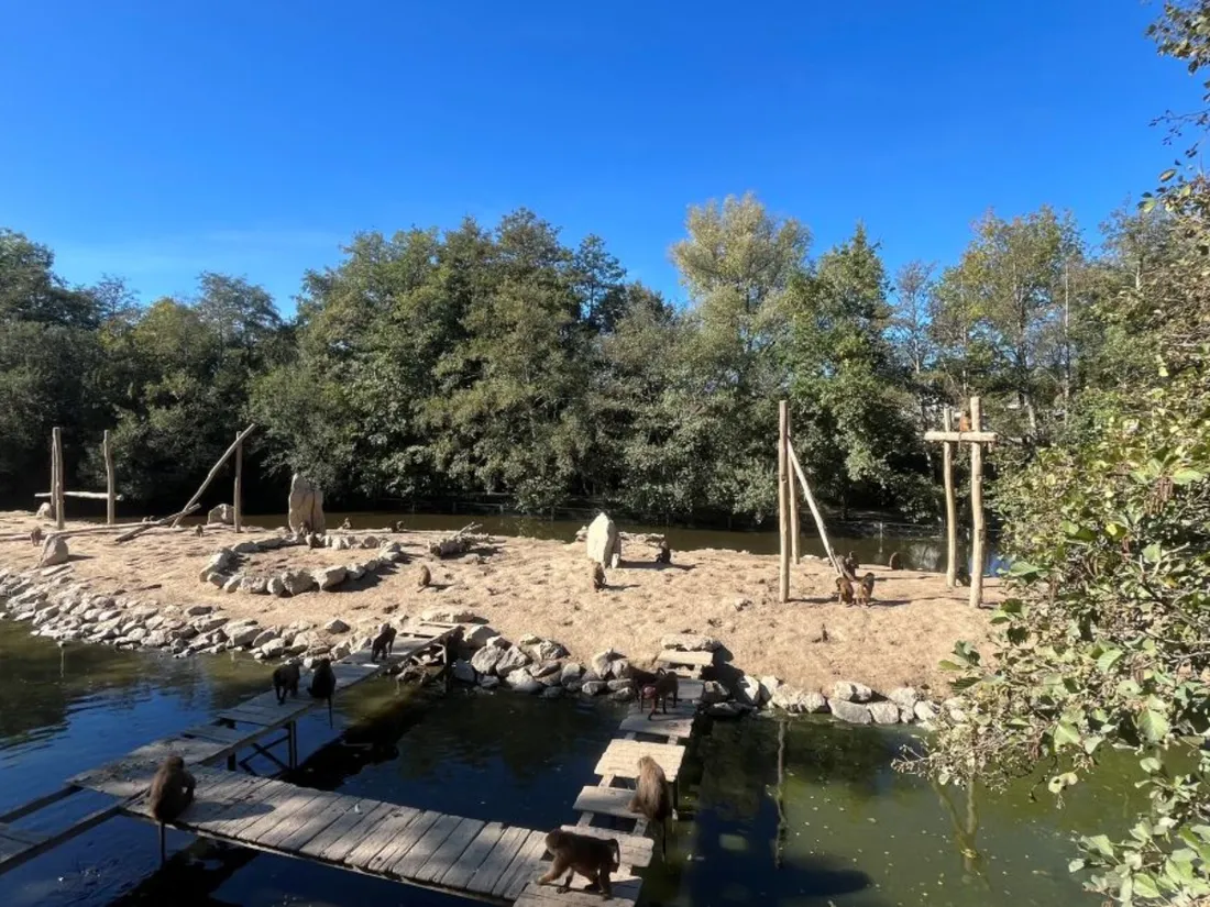 Château-Gontier-sur-Mayenne. Le Refuge de l'Arche lance un appel à...