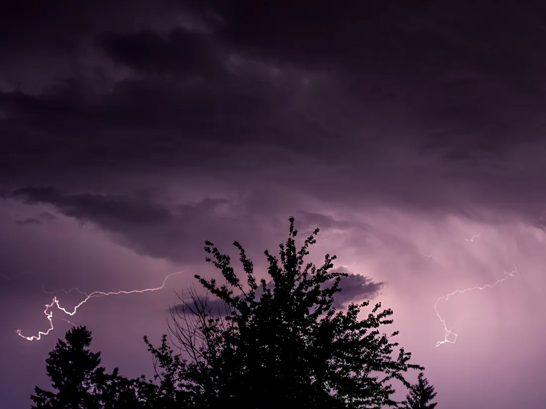 Angers. Vigilance jaune orage : des parcs et des jardins fermés