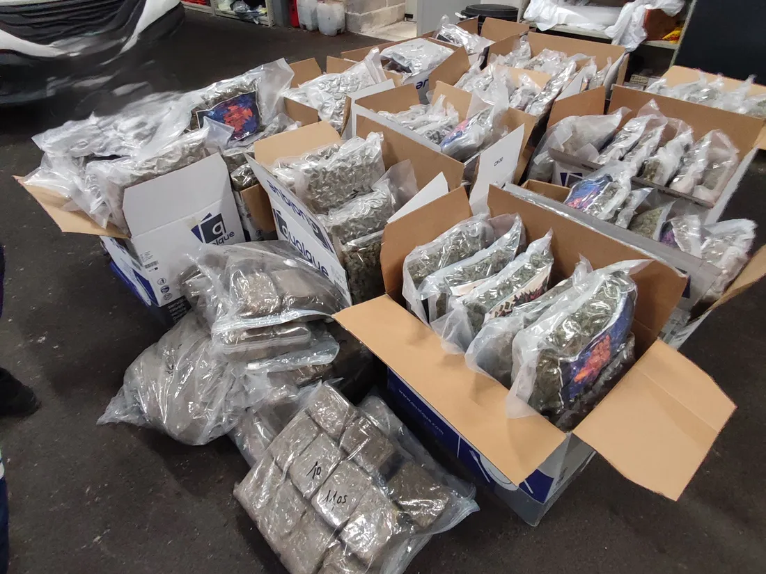 Millau : 247 kg de cannabis saisis sur l’A75
