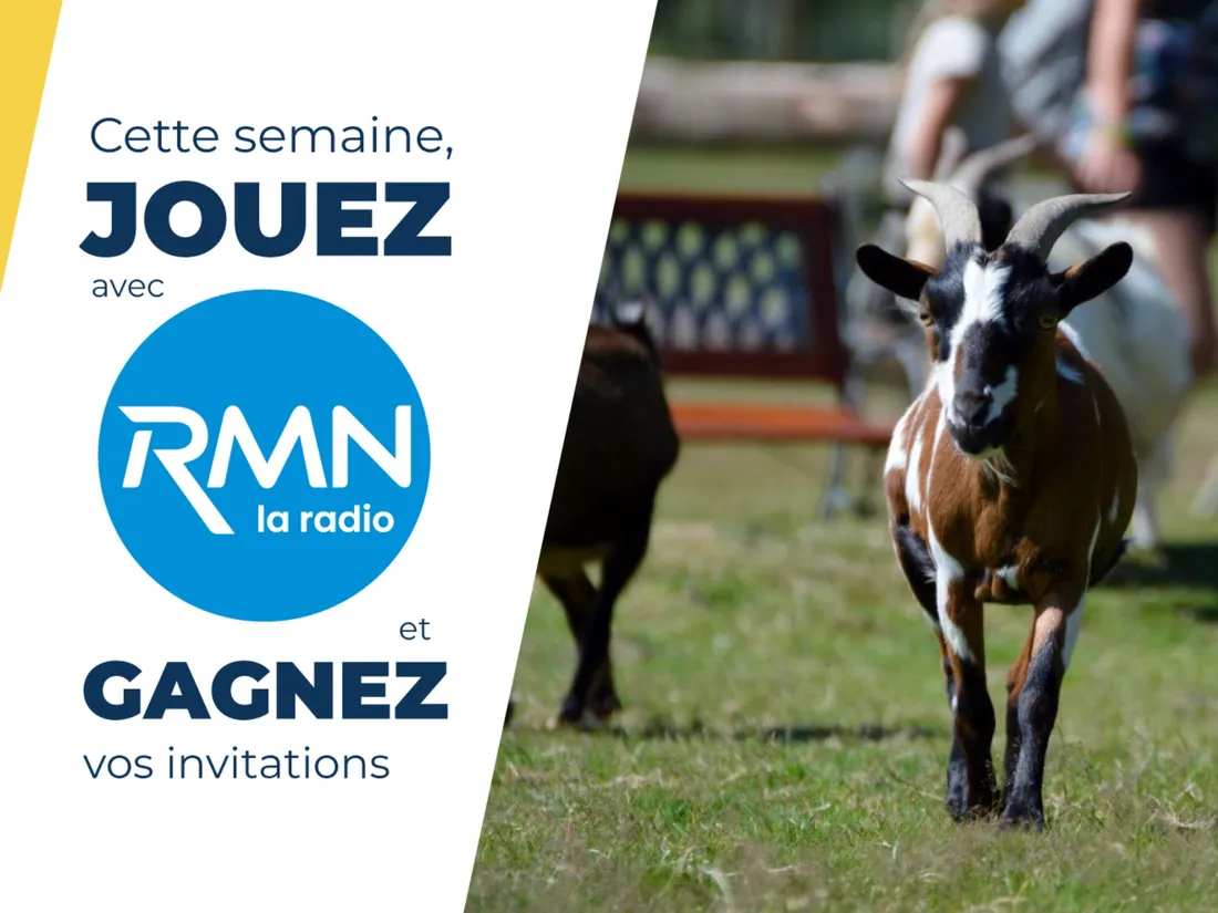 RMN