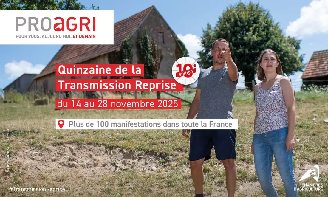 10ᵉ Quinzaine de la Transmission-Reprise : le Grand Est se mobilise...