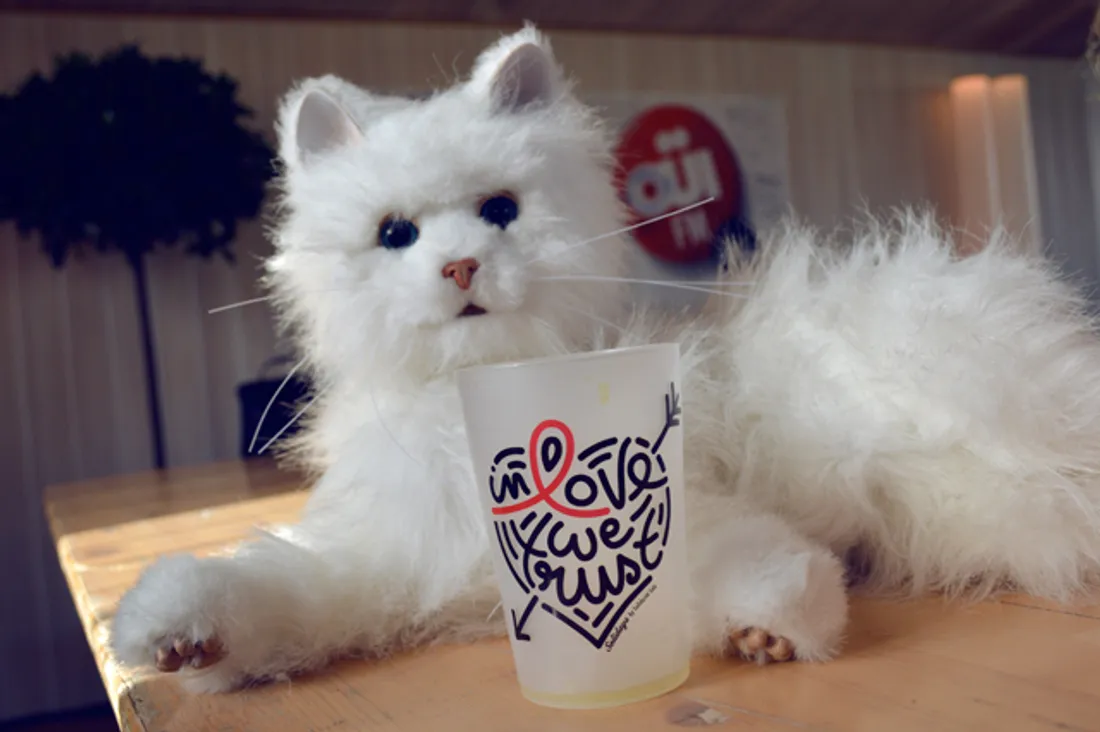 Solidays 2013, jour 3 : les dernières ondes