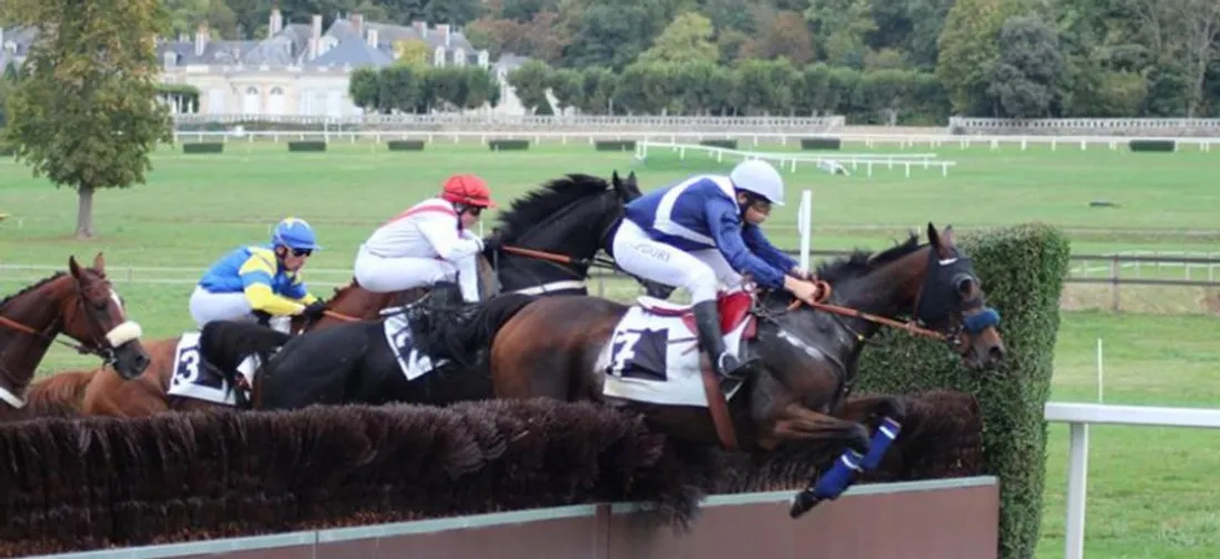 Hippisme. Suppression du galop sur plusieurs hippodromes :  « C'est...