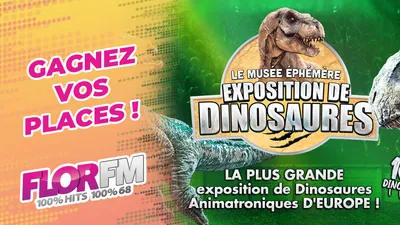 dinosaures mulhouse 2025