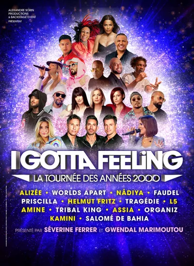 I Gotta Feeling - Reims Arena