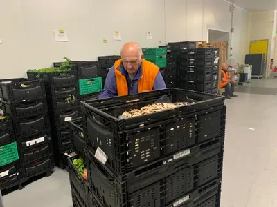 Un bénévole triant les légumes tout juste reçus