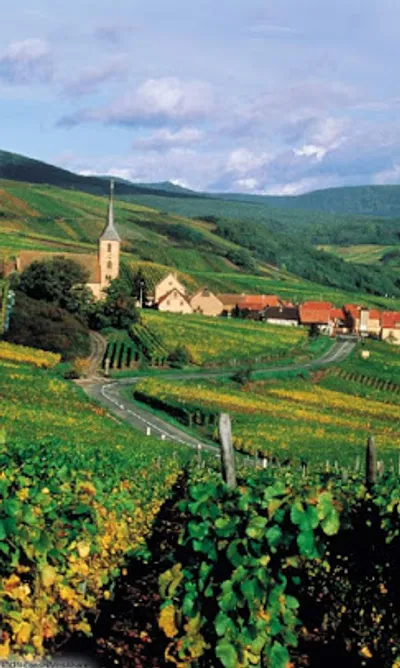 NUIT du CREMANT et FETE du VIN