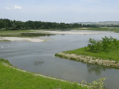 Ile du Rhin Village-Neuf Kembs