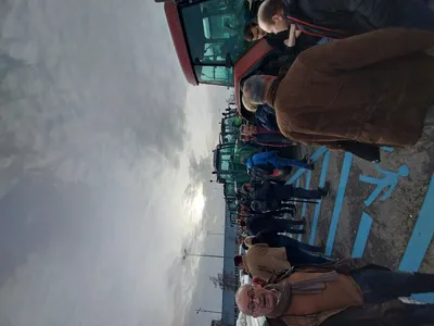 Corbeaux et corneilles