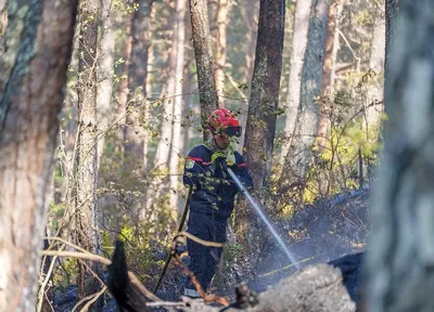 Un incendie rapidement maîtrisé à Gorbio grâce à l’intervention de deux hélicoptères
