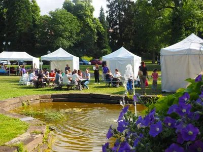 Edition de Livres en Fête